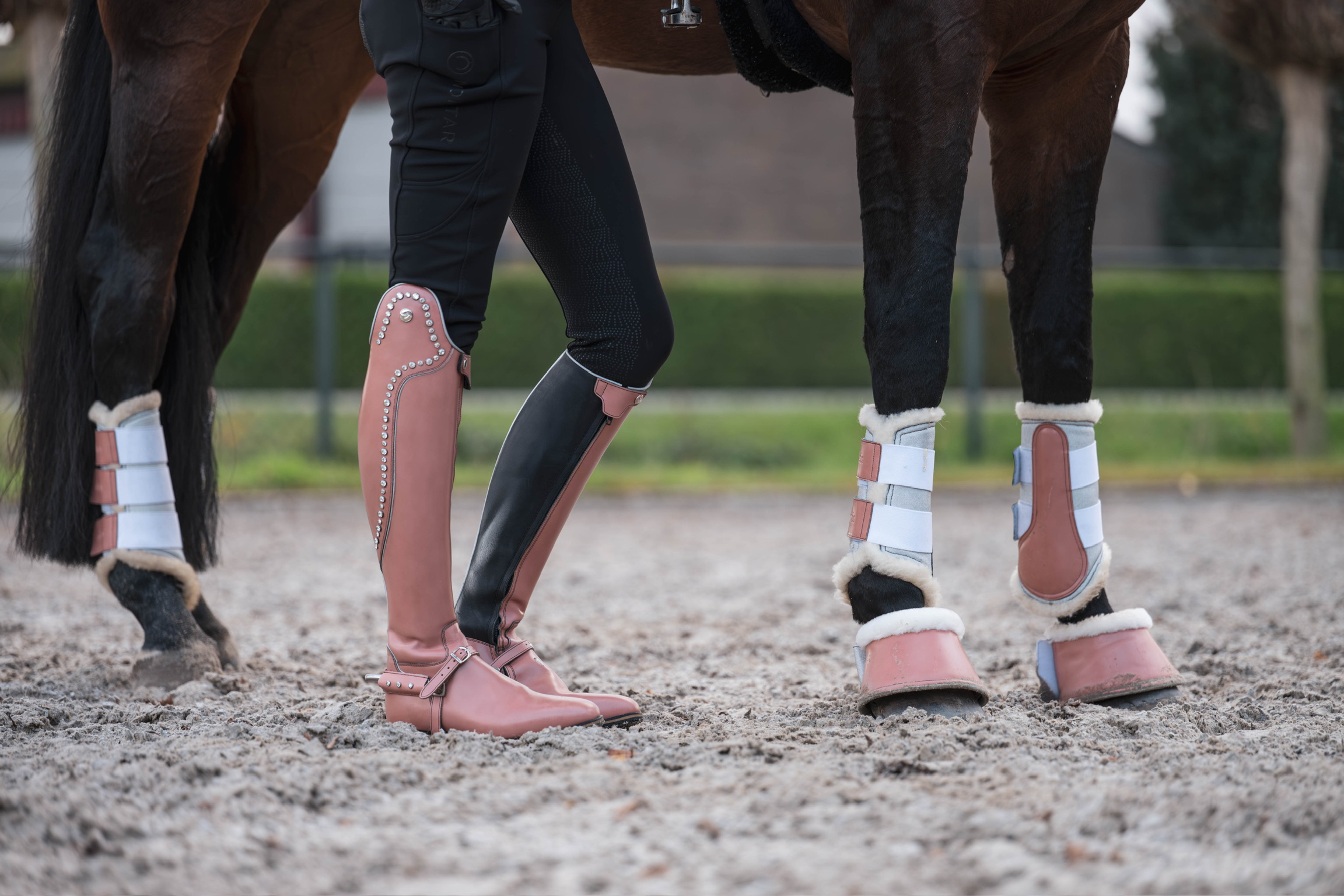 Dana van Lierop – Grand Prix amazone 